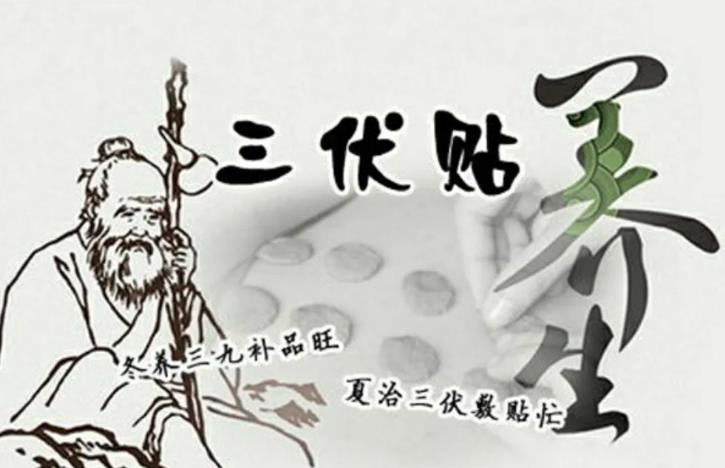 【三伏貼貼敷技巧】一次貼多長(zhǎng)時(shí)間最佳？全面解析三伏貼正確使用方法。